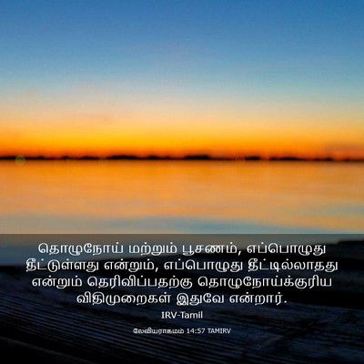 Picture 03 - லேவியராகமம் 14:57 TAMIRV - தொழுநோய் மற்றும் - Bible Verse Picture