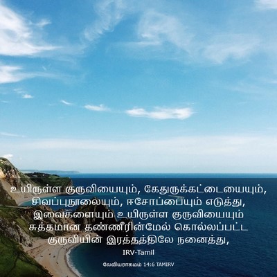 Picture 03 - லேவியராகமம் 14:6 TAMIRV - உயிருள்ள - Bible Verse Picture
