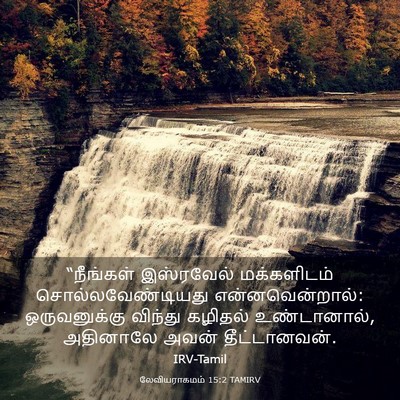 Picture 03 - லேவியராகமம் 15:2 TAMIRV - “நீங்கள் இஸ்ரவேல் - Bible Verse Picture