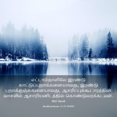 Picture 03 - லேவியராகமம் 15:29 TAMIRV - எட்டாம்நாளிலே - Bible Verse Picture