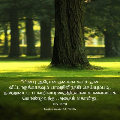Picture 03 - லேவியராகமம் 16:11 TAMIRV - “பின்பு ஆரோன் - Bible Verse Picture