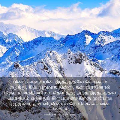 Picture 03 - லேவியராகமம் 16:14 TAMIRV - பின்பு காளையின் - Bible Verse Picture