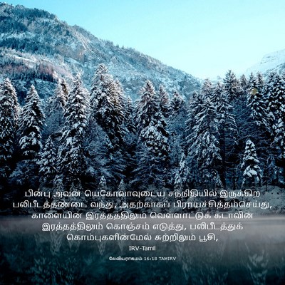 Picture 03 - லேவியராகமம் 16:18 TAMIRV - பின்பு அவன் - Bible Verse Picture
