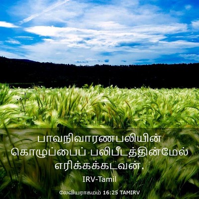 Picture 03 - லேவியராகமம் 16:25 TAMIRV - பாவநிவாரணபலியின் - Bible Verse Picture