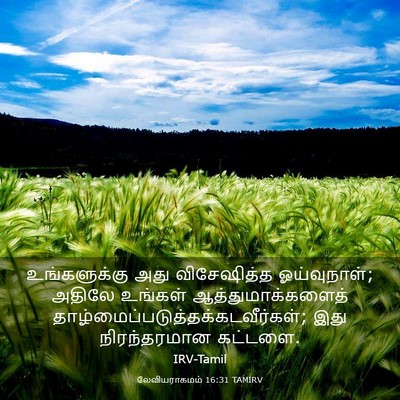 Picture 03 - லேவியராகமம் 16:31 TAMIRV - உங்களுக்கு அது - Bible Verse Picture