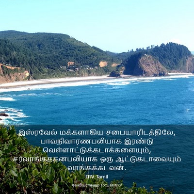 Picture 03 - லேவியராகமம் 16:5 TAMIRV - இஸ்ரவேல் - Bible Verse Picture