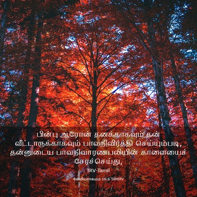 Picture 03 - லேவியராகமம் 16:6 TAMIRV - பின்பு ஆரோன் - Bible Verse Picture
