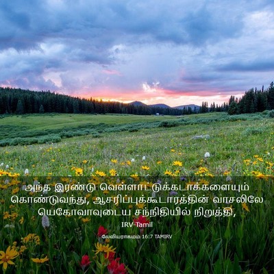 Picture 03 - லேவியராகமம் 16:7 TAMIRV - அந்த இரண்டு - Bible Verse Picture