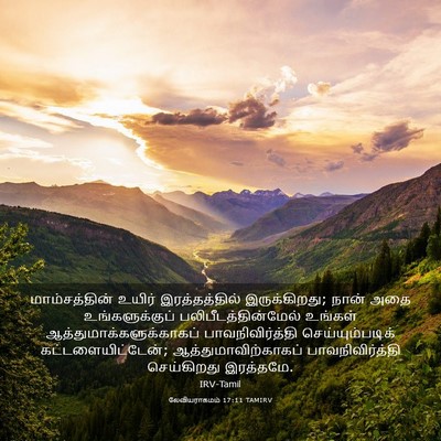 Picture 03 - லேவியராகமம் 17:11 TAMIRV - மாம்சத்தின் உயிர் - Bible Verse Picture