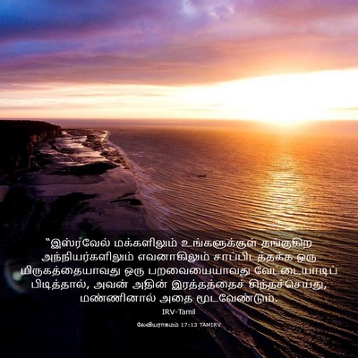 Picture 03 - லேவியராகமம் 17:13 TAMIRV - “இஸ்ரவேல் - Bible Verse Picture
