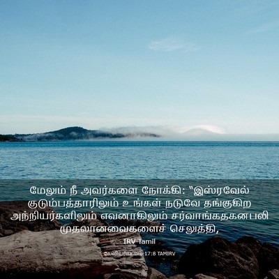 Picture 03 - லேவியராகமம் 17:8 TAMIRV - மேலும் நீ அவர்களை - Bible Verse Picture