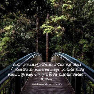 Picture 03 - லேவியராகமம் 18:12 TAMIRV - உன் தகப்பனுடைய - Bible Verse Picture