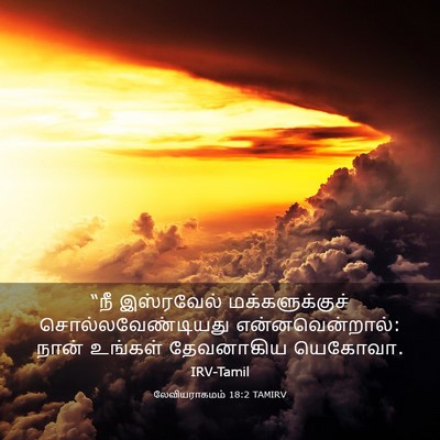 Picture 03 - லேவியராகமம் 18:2 TAMIRV - “நீ இஸ்ரவேல் - Bible Verse Picture