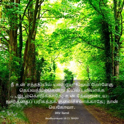 Picture 03 - லேவியராகமம் 18:21 TAMIRV - நீ உன் சந்ததியில் - Bible Verse Picture