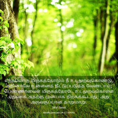 Picture 03 - லேவியராகமம் 18:23 TAMIRV - எந்தவொரு - Bible Verse Picture