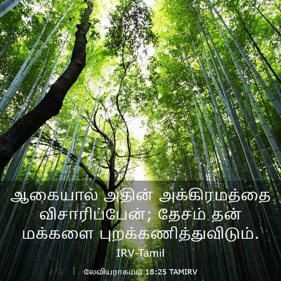 Picture 03 - லேவியராகமம் 18:25 TAMIRV - ஆகையால் அதின் - Bible Verse Picture
