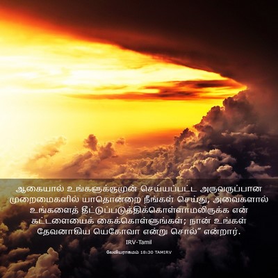Picture 03 - லேவியராகமம் 18:30 TAMIRV - ஆகையால் - Bible Verse Picture