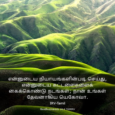 Picture 03 - லேவியராகமம் 18:4 TAMIRV - என்னுடைய - Bible Verse Picture