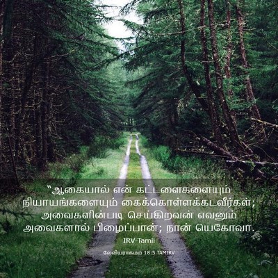 Picture 03 - லேவியராகமம் 18:5 TAMIRV - “ஆகையால் என் - Bible Verse Picture