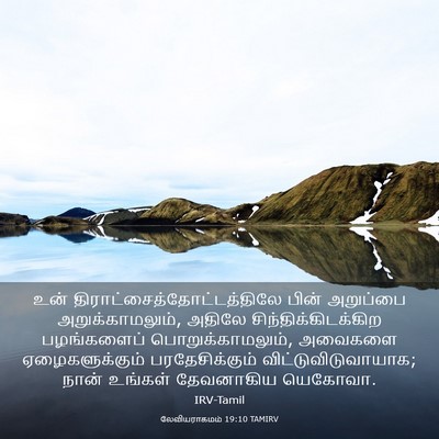Picture 03 - லேவியராகமம் 19:10 TAMIRV - உன் - Bible Verse Picture