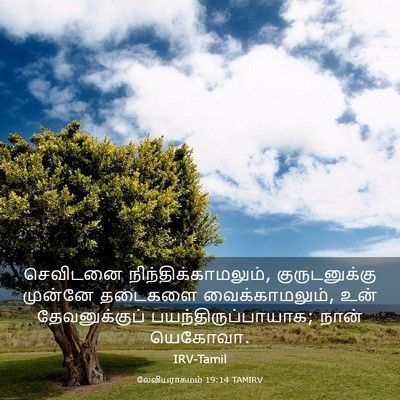 Picture 03 - லேவியராகமம் 19:14 TAMIRV - செவிடனை - Bible Verse Picture