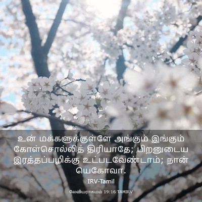 Picture 03 - லேவியராகமம் 19:16 TAMIRV - உன் - Bible Verse Picture