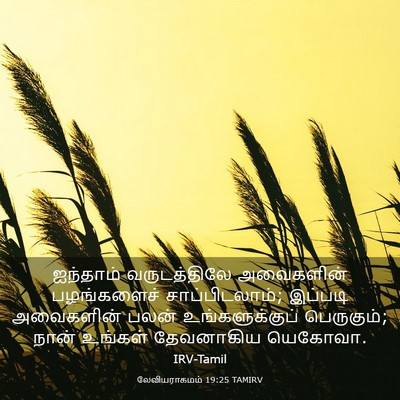 Picture 03 - லேவியராகமம் 19:25 TAMIRV - ஐந்தாம் - Bible Verse Picture