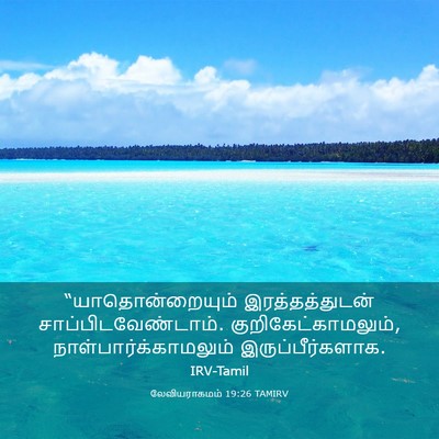 Picture 03 - லேவியராகமம் 19:26 TAMIRV - “யாதொன்றையும் - Bible Verse Picture