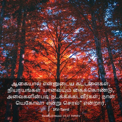 Picture 03 - லேவியராகமம் 19:37 TAMIRV - ஆகையால் என்னுடைய - Bible Verse Picture