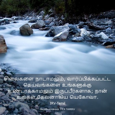 Picture 03 - லேவியராகமம் 19:4 TAMIRV - சிலைகளை - Bible Verse Picture