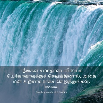 Picture 03 - லேவியராகமம் 19:5 TAMIRV - “நீங்கள் - Bible Verse Picture