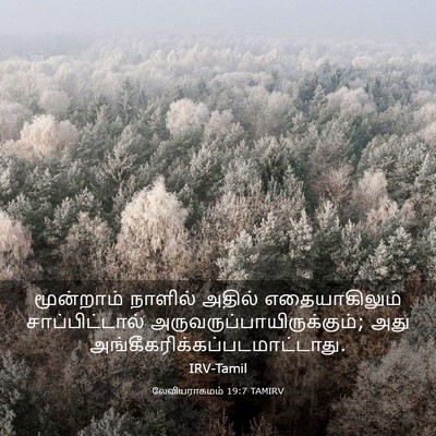 Picture 03 - லேவியராகமம் 19:7 TAMIRV - மூன்றாம் நாளில் - Bible Verse Picture