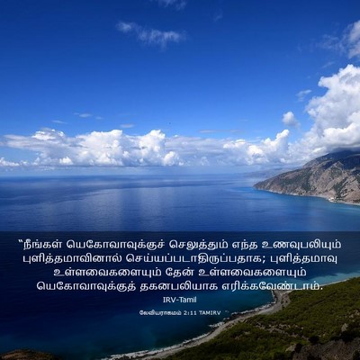 Picture 03 - லேவியராகமம் 2:11 TAMIRV - “நீங்கள் - Bible Verse Picture