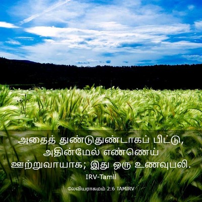 Picture 03 - லேவியராகமம் 2:6 TAMIRV - அதைத் - Bible Verse Picture