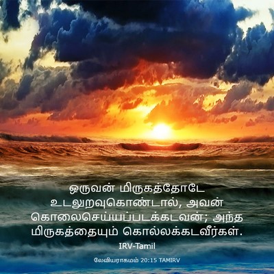 Picture 03 - லேவியராகமம் 20:15 TAMIRV - ஒருவன் - Bible Verse Picture