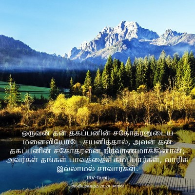Picture 03 - லேவியராகமம் 20:20 TAMIRV - ஒருவன் தன் - Bible Verse Picture