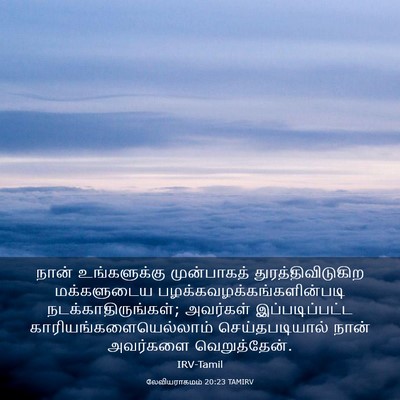 Picture 03 - லேவியராகமம் 20:23 TAMIRV - நான் உங்களுக்கு - Bible Verse Picture