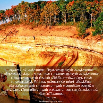 Picture 03 - லேவியராகமம் 20:25 TAMIRV - ஆகையால் சுத்தமான - Bible Verse Picture