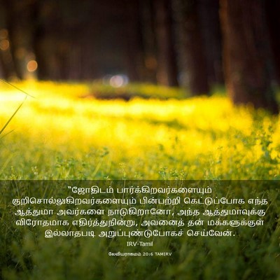 Picture 03 - லேவியராகமம் 20:6 TAMIRV - “ஜோதிடம் - Bible Verse Picture