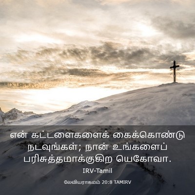 Picture 03 - லேவியராகமம் 20:8 TAMIRV - என் கட்டளைகளைக் - Bible Verse Picture