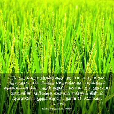 Picture 03 - லேவியராகமம் 21:12 TAMIRV - பரிசுத்த - Bible Verse Picture