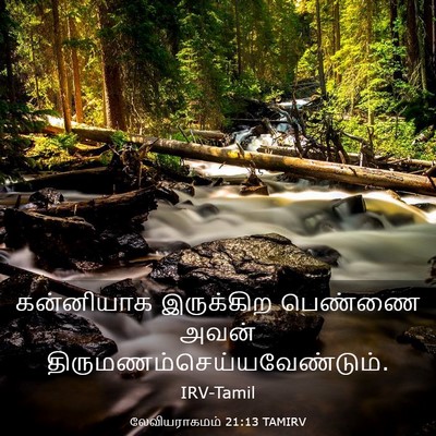 Picture 03 - லேவியராகமம் 21:13 TAMIRV - கன்னியாக இருக்கிற - Bible Verse Picture