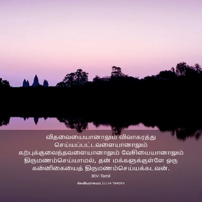 Picture 03 - லேவியராகமம் 21:14 TAMIRV - விதவையையானாலும் - Bible Verse Picture