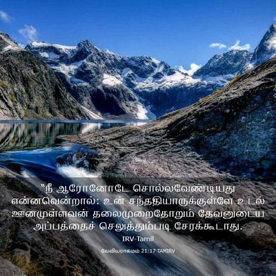 Picture 03 - லேவியராகமம் 21:17 TAMIRV - “நீ ஆரோனோடே - Bible Verse Picture