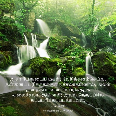 Picture 03 - லேவியராகமம் 21:9 TAMIRV - ஆசாரியனுடைய மகள், - Bible Verse Picture