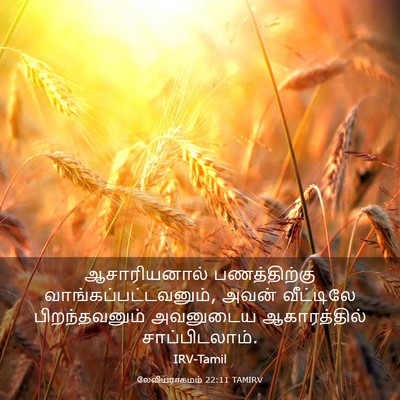 Picture 03 - லேவியராகமம் 22:11 TAMIRV - ஆசாரியனால் - Bible Verse Picture
