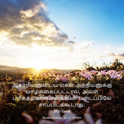 Picture 03 - லேவியராகமம் 22:12 TAMIRV - ஆசாரியனுடைய மகள் - Bible Verse Picture
