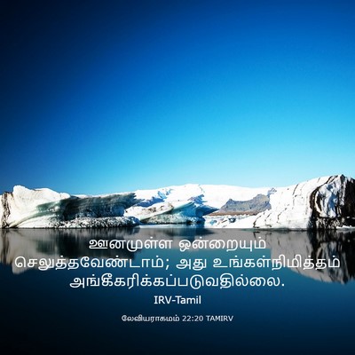 Picture 03 - லேவியராகமம் 22:20 TAMIRV - ஊனமுள்ள ஒன்றையும் - Bible Verse Picture
