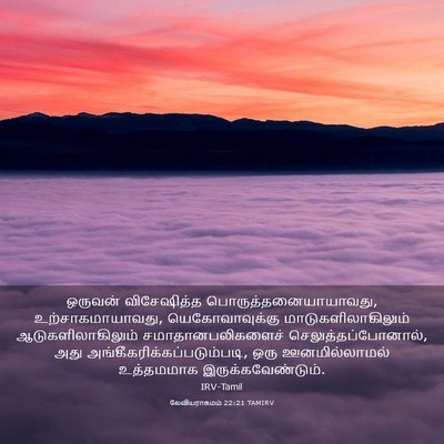 Picture 03 - லேவியராகமம் 22:21 TAMIRV - ஒருவன் விசேஷித்த - Bible Verse Picture