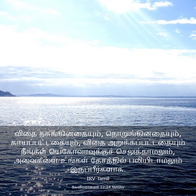 Picture 03 - லேவியராகமம் 22:24 TAMIRV - விதை - Bible Verse Picture